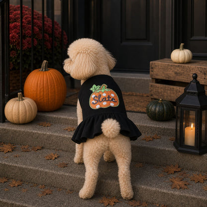 Pet Halloween Vest Dress for Cats and Dogs, Pumpkin Costume for Pomeranian