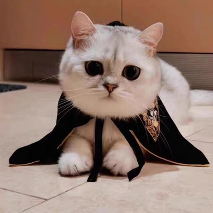 Pet Cute high-quality cloak decoration for Halloween
