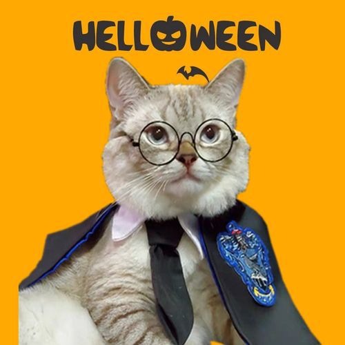 Pet Cute high-quality cloak decoration for Halloween