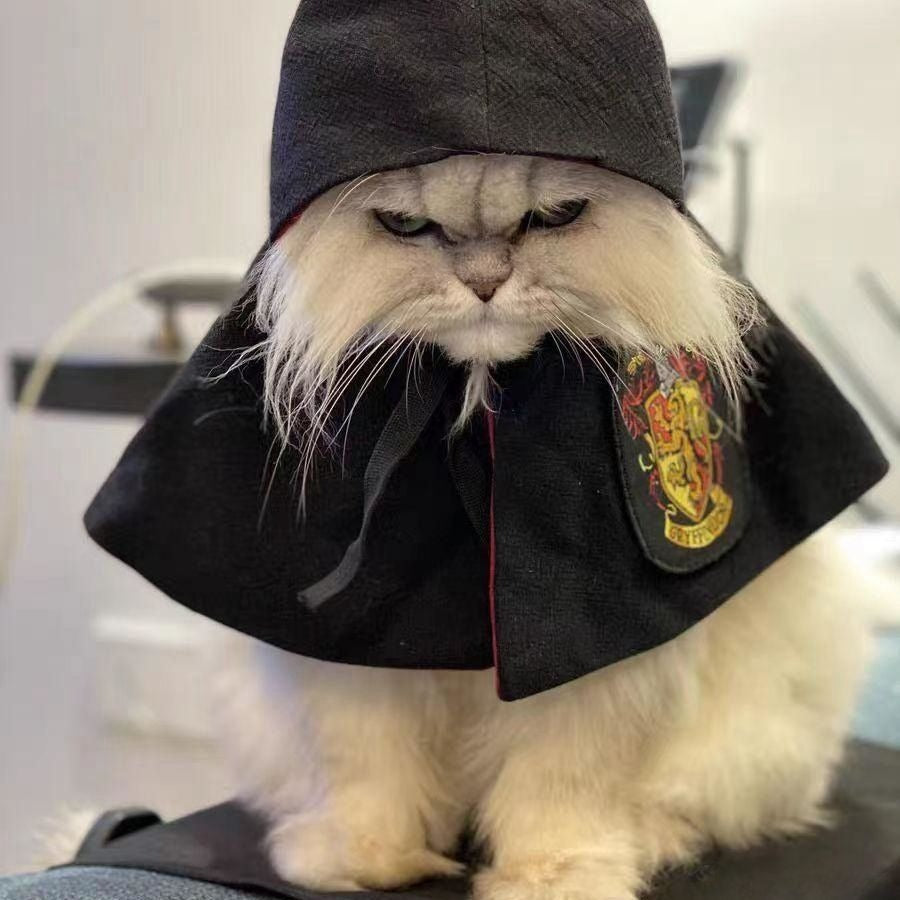 Pet Cute high-quality cloak decoration for Halloween
