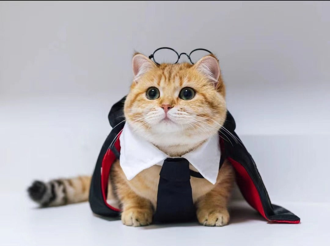 Pet Cute high-quality cloak decoration for Halloween